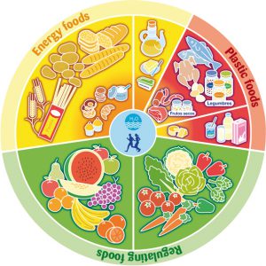 Food Nutrition Pie Chart